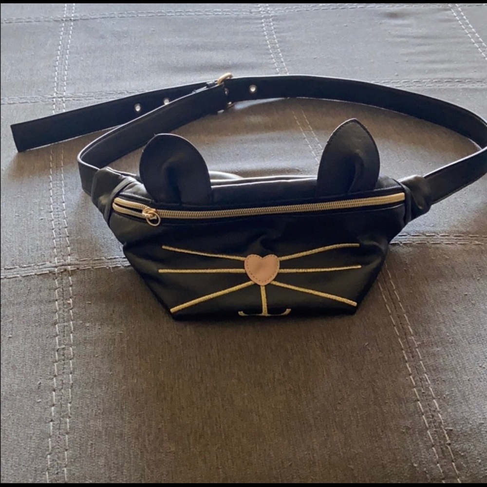 Cat Fanny pack